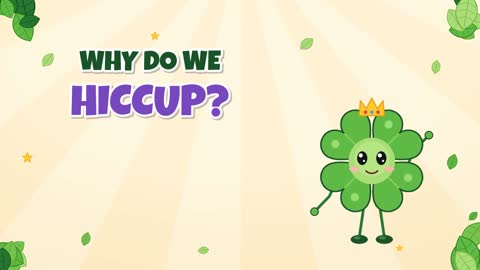 Why Do We Hiccup? Meet Your Twitchy Diaphragm!