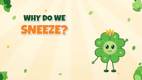 Why Do We Sneeze? Your Nose's Super Reflex!