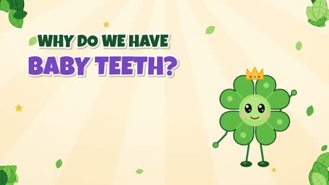 Why Do We Have Baby Teeth? A Starter Set for Your Smile!