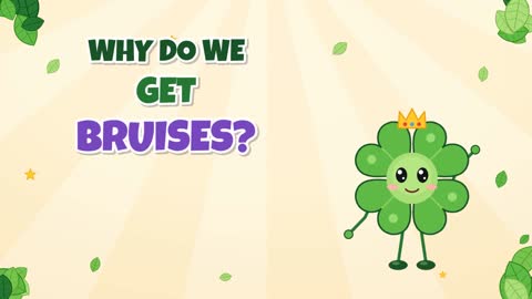 Why Do We Get Bruises? Purple, Green, Then Gone!