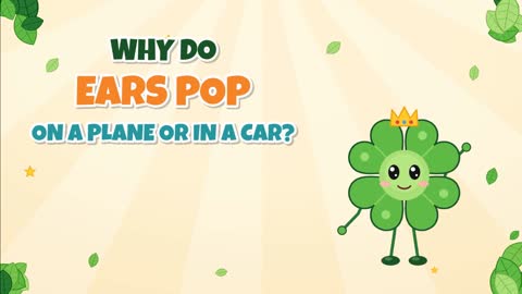 Why Do Your Ears Pop on a Plane or in a Car?