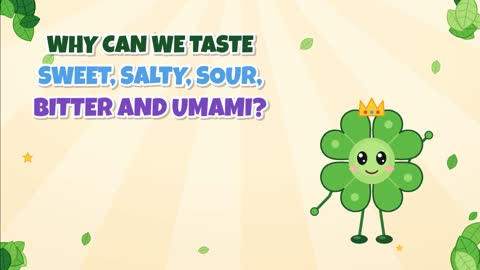 Why Can We Taste Sweet, Salty, Sour, Bitter and Umami?