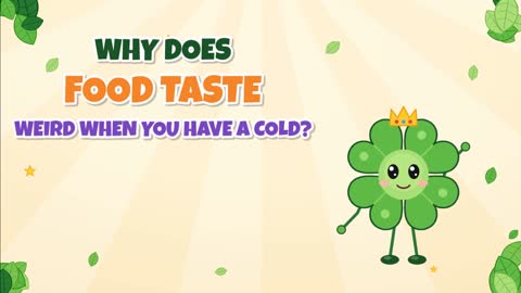 Why Does Food Taste Weird When You Have a Cold?
