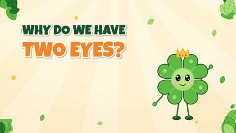 Why Do We Have Two Eyes? The Secret of Depth!