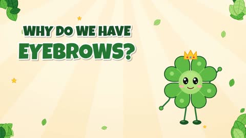 Why Do We Have Eyebrows? More Than Just Face Fuzz!