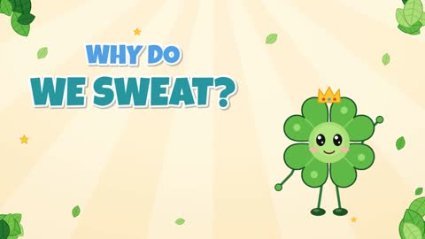 Why Do We Sweat? Your Built-In Cooling System!