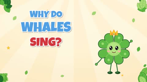 Why Do Whales Sing? Songs That Travel for Miles!