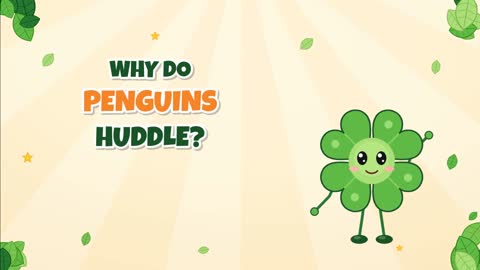 Why Do Penguins Huddle? Teamwork Keeps Them Warm!