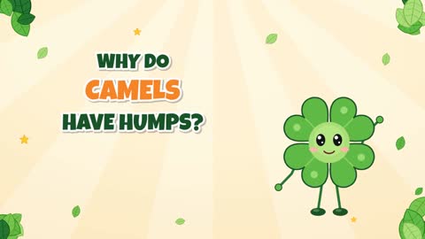Why Do Camels Have Humps? It's Not What You Think!
