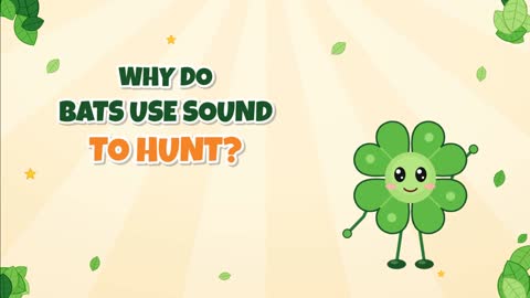 Why Do Bats Use Sound to Hunt? Echoes in the Dark!