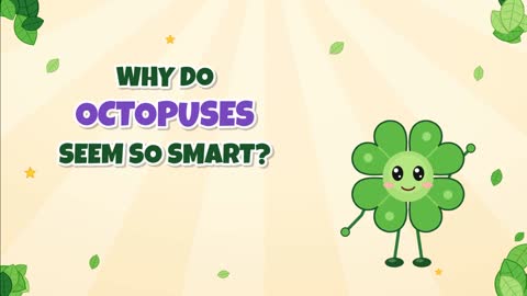 Why Do Octopuses Seem So Smart? Eight Clever Arms!