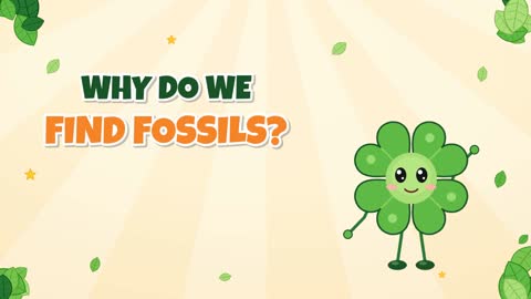 Why Do We Find Fossils? It Takes a Little Luck!