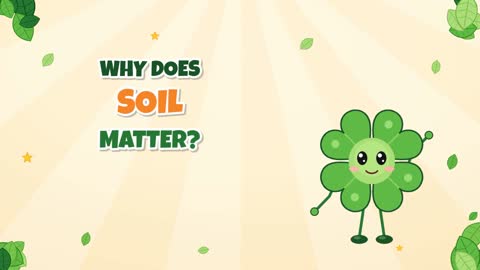 Why Does Soil Matter? The Ground Is Full of Life!