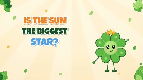 Is the Sun the Biggest Star? Sizes in Space!