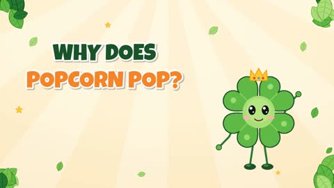 Why Does Popcorn Pop? A Tiny Pressure Cooker!