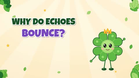 Why Do Echoes Bounce? Sound Bounces Back Late!