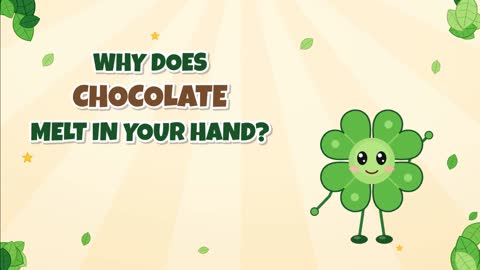 Why Does Chocolate Melt in Your Hand? Cocoa Butter Science!