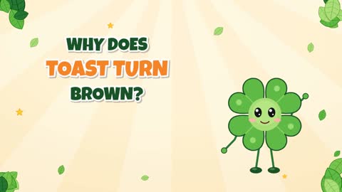 Why Does Toast Turn Brown? The Maillard Reaction!