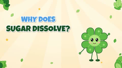 Why Does Sugar Dissolve? Water Molecules Pull It Apart!