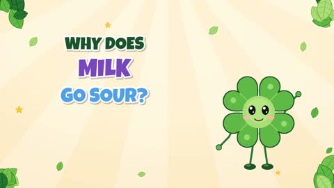 Why Does Milk Go Sour? Tiny Microbes Make Acid!