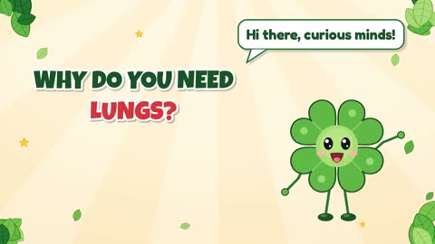 Why Do You Need Lungs?