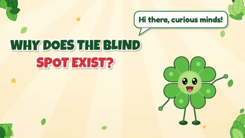 Why Does the Blind Spot Exist?