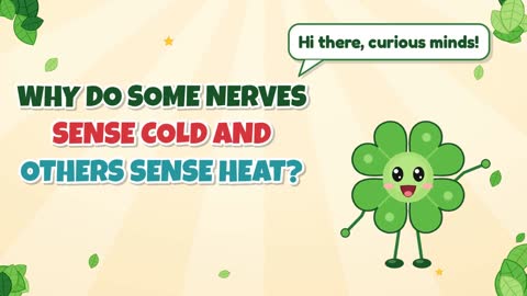 Why Do Some Nerves Sense Cold and Others Sense Heat?