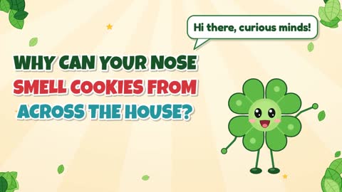 Why Can Your Nose Smell Cookies From Across the House?