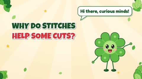 Why Do Stitches Help Some Cuts?