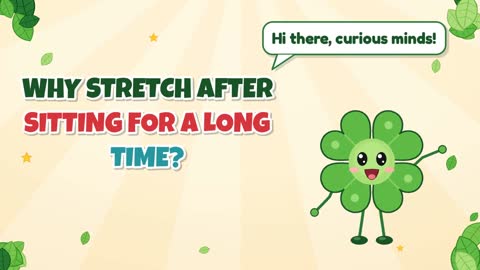 Why Stretch After Sitting for a Long Time?