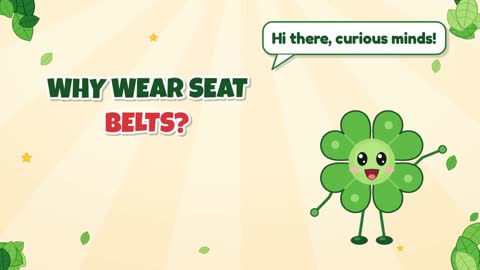 Why Wear Seat Belts?
