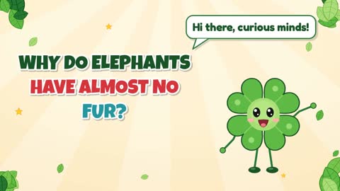 Why Do Elephants Have Almost No Fur?