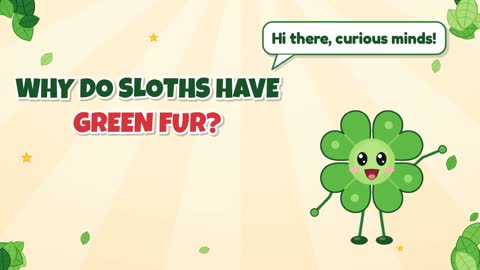 Why Do Sloths Have Green Fur?