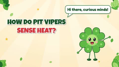 How Do Pit Vipers Sense Heat?