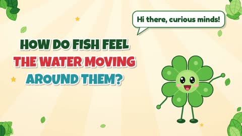 How Do Fish Feel the Water Moving Around Them?