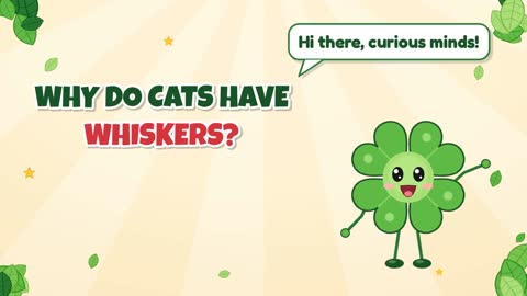 Why Do Cats Have Whiskers?