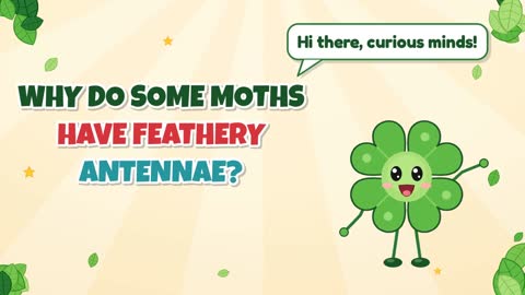 Why Do Some Moths Have Feathery Antennae?