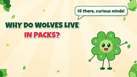 Why Do Wolves Live in Packs?