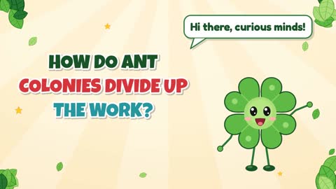 How Do Ant Colonies Divide Up the Work?