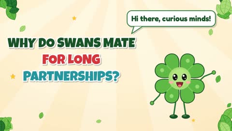 Why Do Swans Mate for Long Partnerships?
