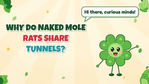 Why Do Naked Mole Rats Share Tunnels?