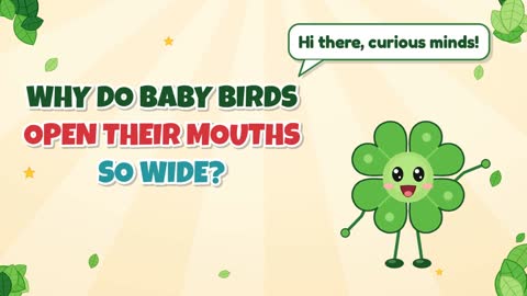 Why Do Baby Birds Open Their Mouths So Wide?