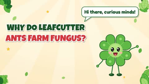 Why Do Leafcutter Ants Farm Fungus?