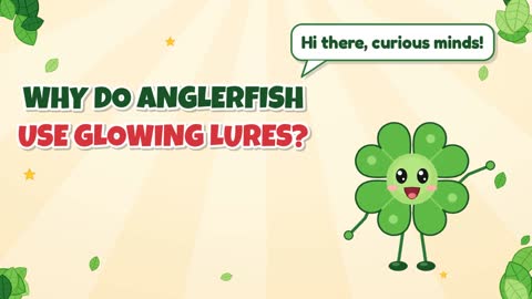 Why Do Anglerfish Use Glowing Lures?