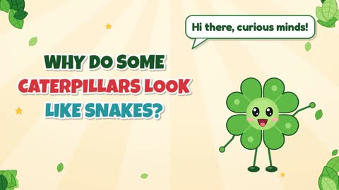 Why Do Some Caterpillars Look Like Snakes?