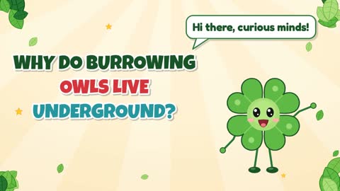 Why Do Burrowing Owls Live Underground?