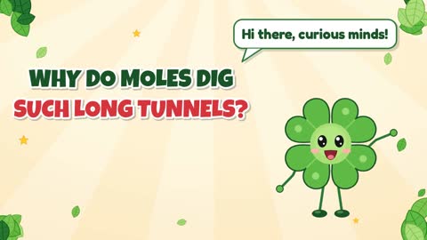 Why Do Moles Dig Such Long Tunnels?
