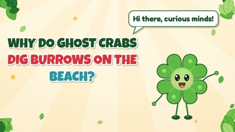 Why Do Ghost Crabs Dig Burrows on the Beach?
