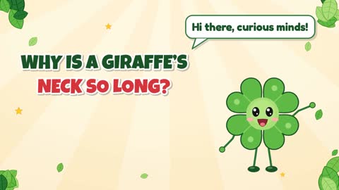 Why Is a Giraffe’s Neck So Long?
