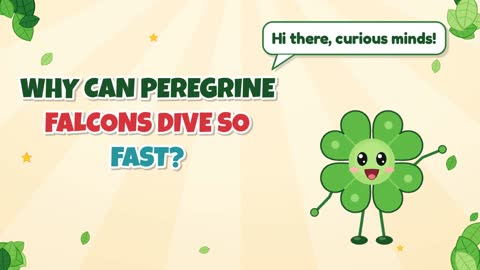 Why Can Peregrine Falcons Dive So Fast?